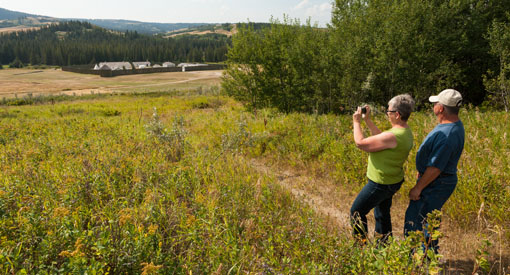 Un couple prend des photos du paysage avec le Fort Walsh au loin.